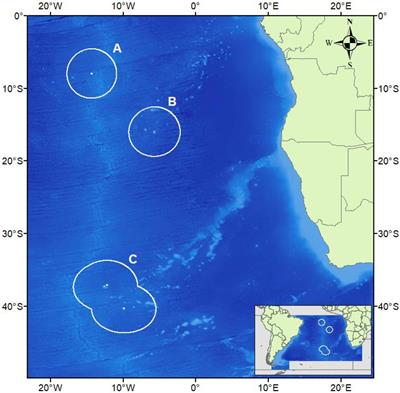 Benthic Assemblage Composition of South Atlantic Seamounts